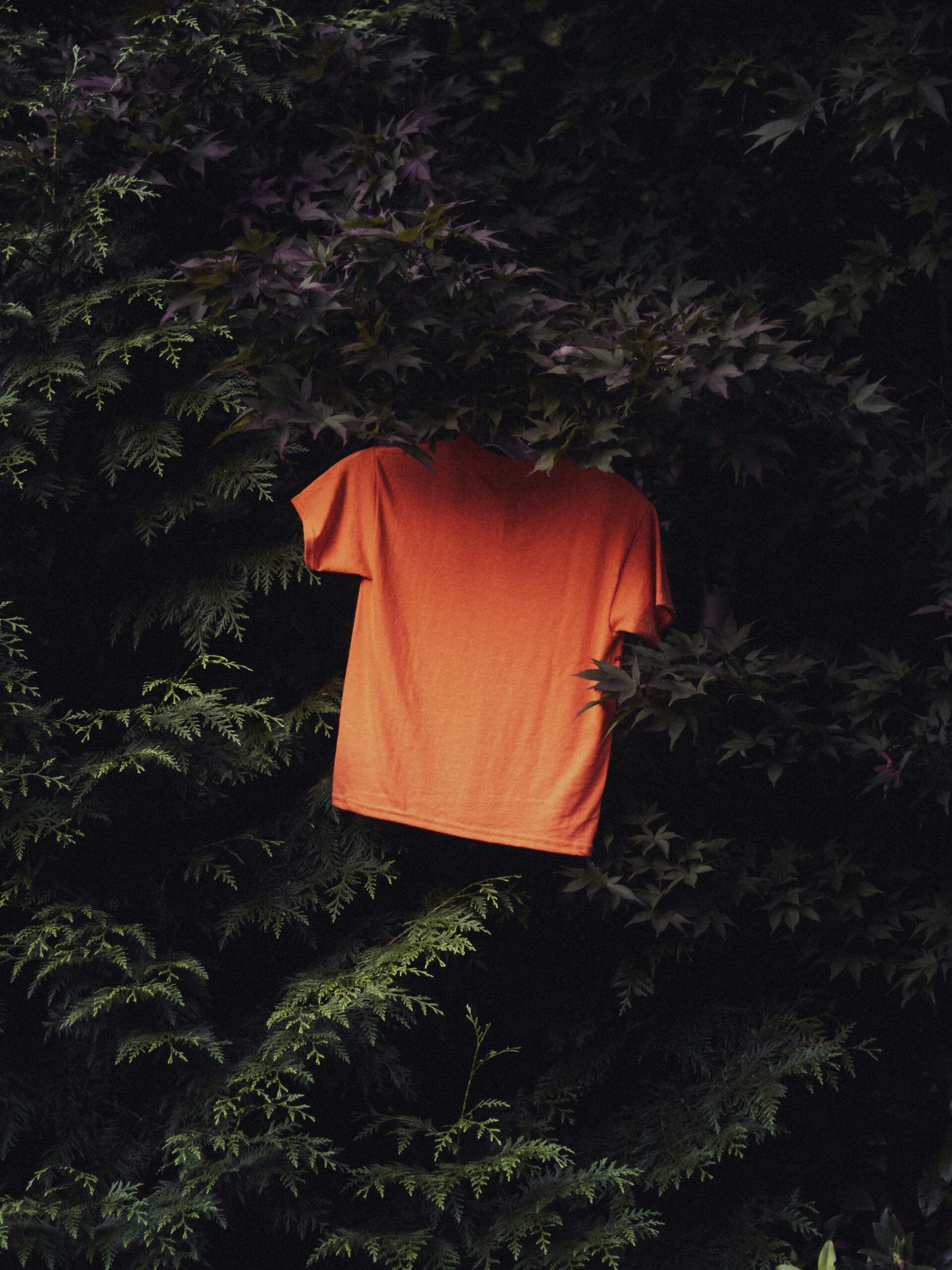 Photo by Aedrian Salazar on Unsplash
