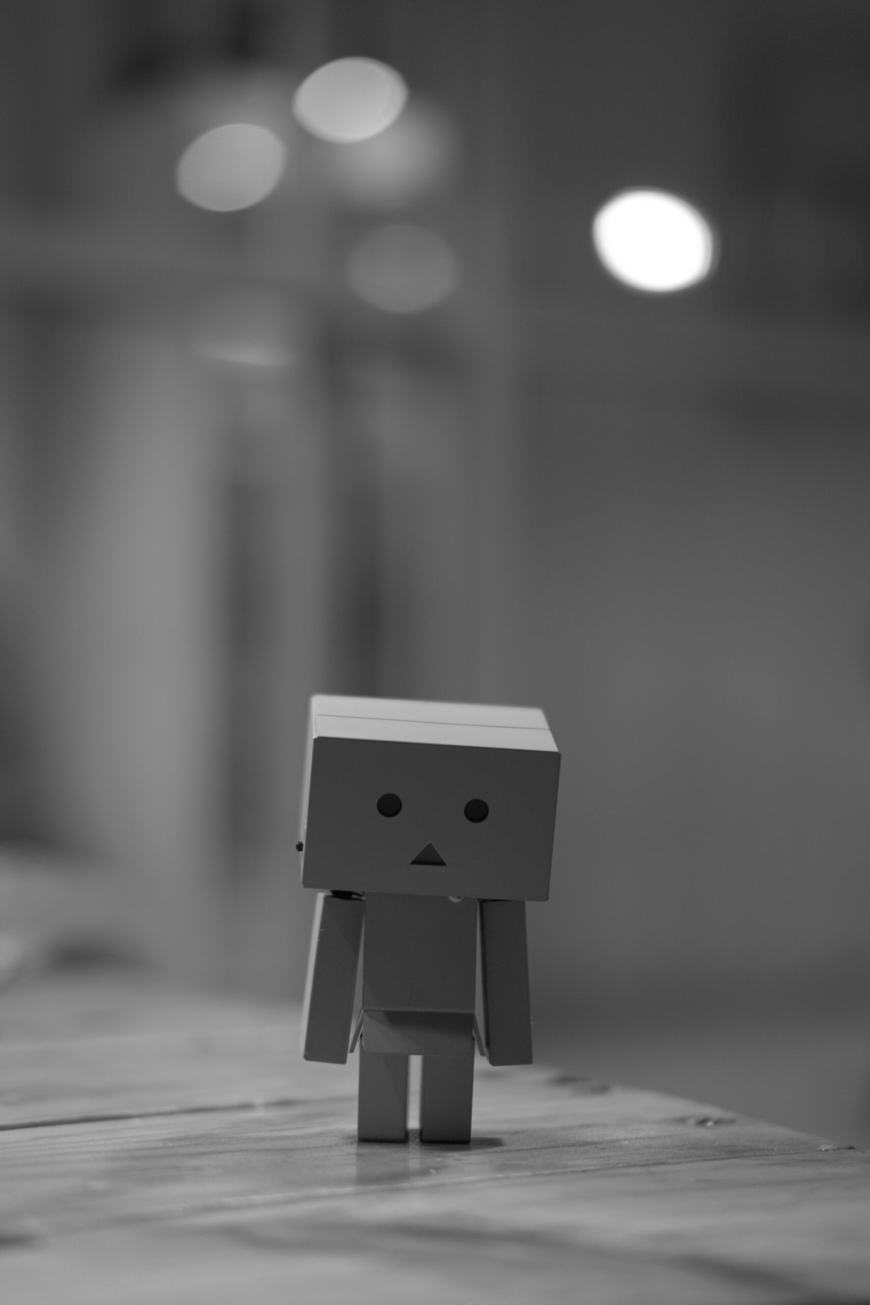 Photo by Mulyadi on Unsplash