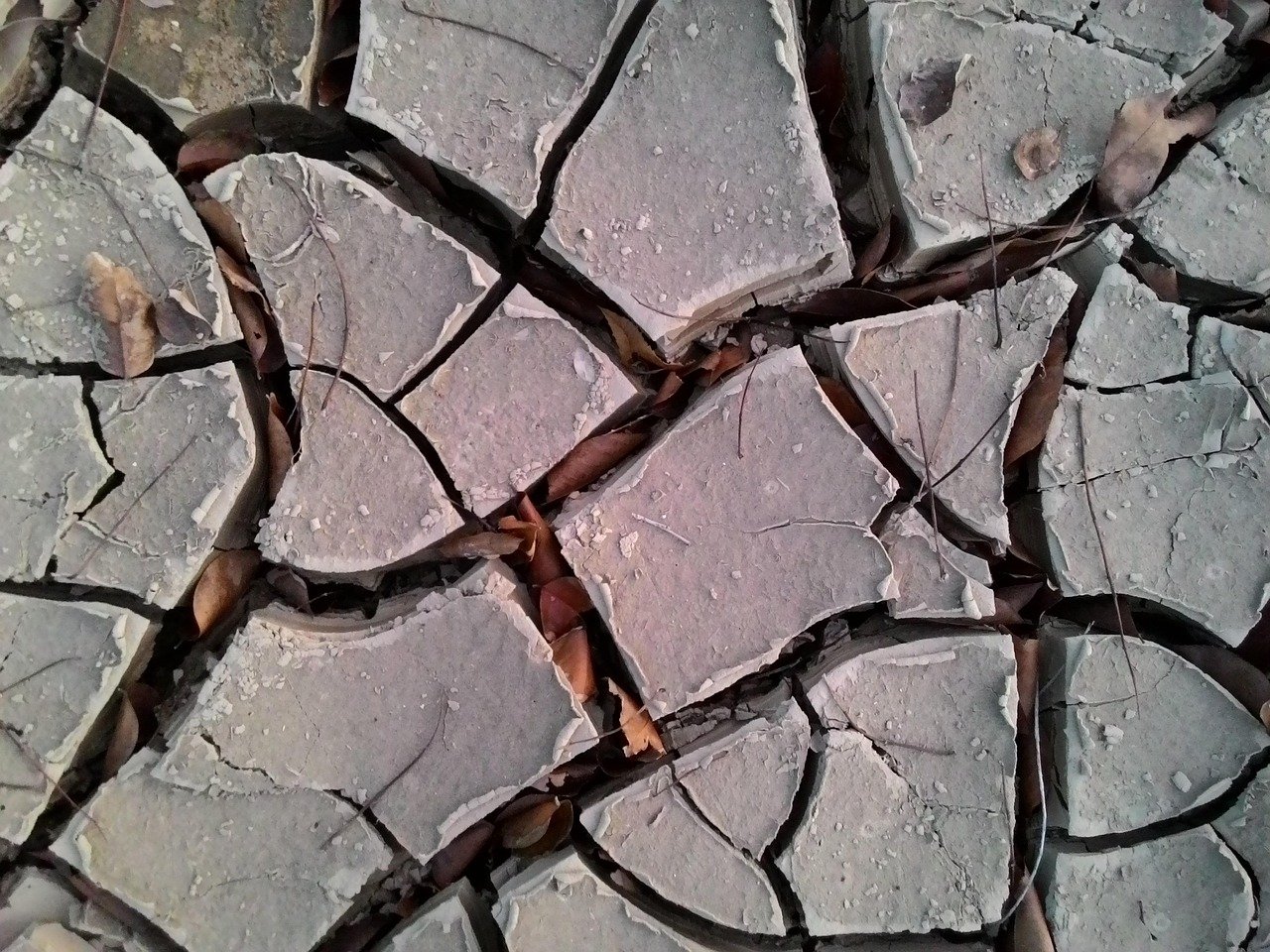 Image by Ver Estotsenberg from Pixabay