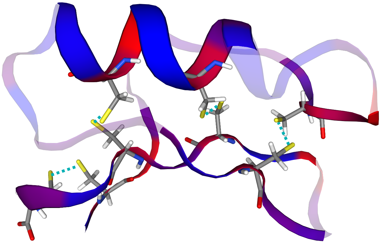 Drosomycin, an example of a peptide
By MA Hanson - Own work, CC BY-SA 4.0, https://commons.wikimedia.org/w/index.php?curid=86765725